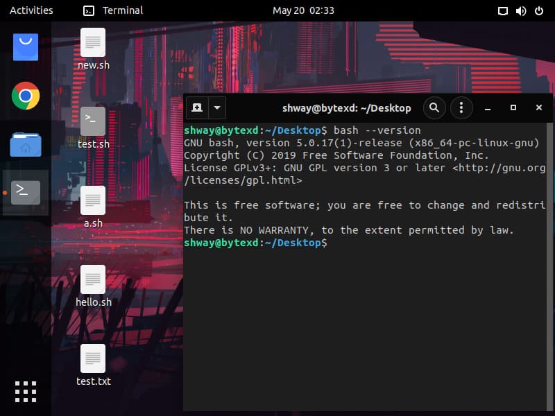 Introduction to Shell Scripting in Linux 18 screenshot 5 - bash version
